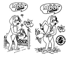 MÔÔI l'animal