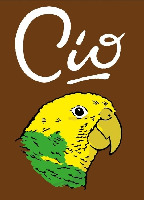Cio