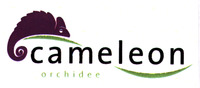 cameleon orchidee