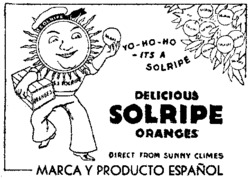 DELICIOUS SOLRIPE ORANGES