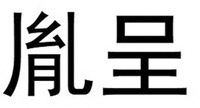  YIN CHENG 