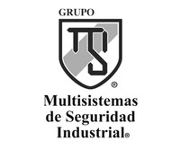 GRUPO Multisistemas de Seguridad Industrial