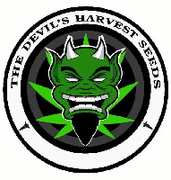 THE DEVIL'S HARVEST SEEDS