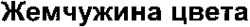 Zhemchuzhina Tsveta