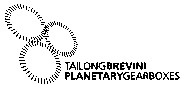 TAILONGBREVINI PLANETARYGEARBOXES