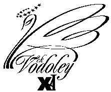 Vek Vodoley XXI