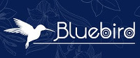 Bluebird