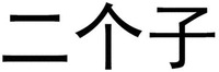 ER GE ZI