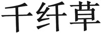 QIANQ / ANCAO.