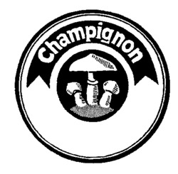 champignon