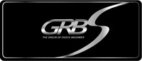 GRBS THE ORIGIN OF SHOCK ABSORBER