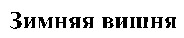 ZIMNYAYA VICHNYA.