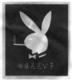 HUI ZU HUA HUA GONG ZI.