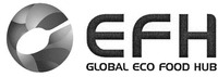 EFH GLOBAL ECO FOOD HUB