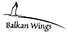 Balkan Wings