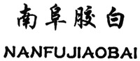 NANFUJIAOBAI