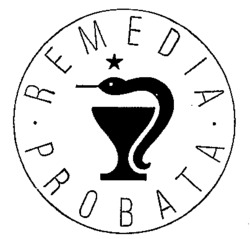 REMEDIA