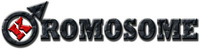 KROMOSOME