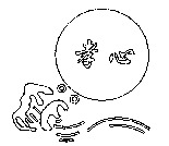 XIAO XIN.