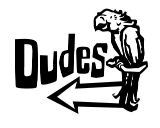 Dudes