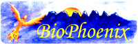 BioPhoenix
