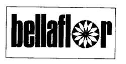 bellaflor