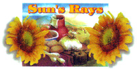 Sun's Rays
