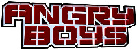 ANGRY BOYS