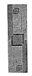 VAN NELLE
