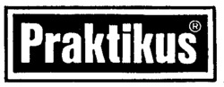 Praktikus