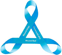 Wound Edge Periwound skin Wound Bed