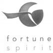 fortune spirit