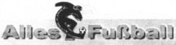 Alles Fußball
