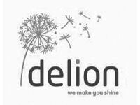 delion we make you shine
