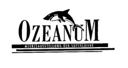 OZEANUM
