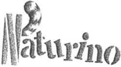 Naturino