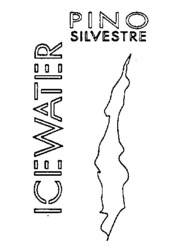 ICEWATER PINO SILVESTRE
