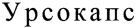 URSOKAPS