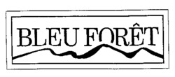 BLEU FORÊT