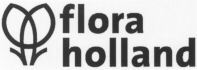 flora holland