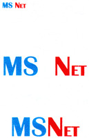 MS NET