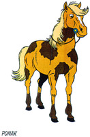 PONAK