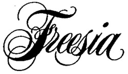 Freesia