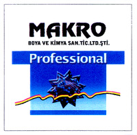 MAKRO BOYA VE KIMYA SAN.TIC.LTD.STI. Professional