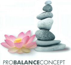 PROBALANCECONCEPT