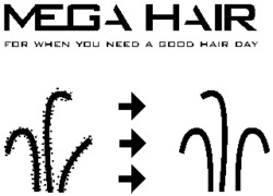 MEGA HAIR