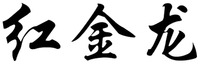 HONGJINLONG