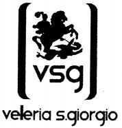 vsg veleria s.giorgio