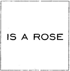 IS A ROSE