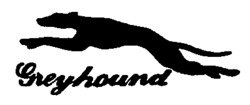 Greyhound